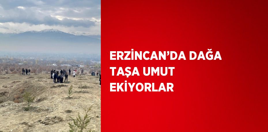 ERZİNCAN’DA DAĞA TAŞA UMUT EKİYORLAR