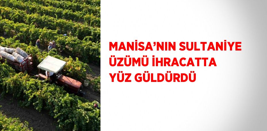 MANİSA’NIN SULTANİYE ÜZÜMÜ İHRACATTA YÜZ GÜLDÜRDÜ