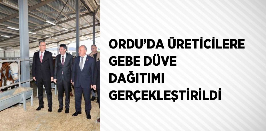 ORDU’DA ÜRETİCİLERE GEBE DÜVE DAĞITIMI GERÇEKLEŞTİRİLDİ