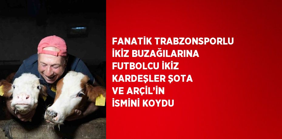 FANATİK TRABZONSPORLU İKİZ BUZAĞILARINA FUTBOLCU İKİZ KARDEŞLER ŞOTA VE ARÇİL’İN İSMİNİ KOYDU