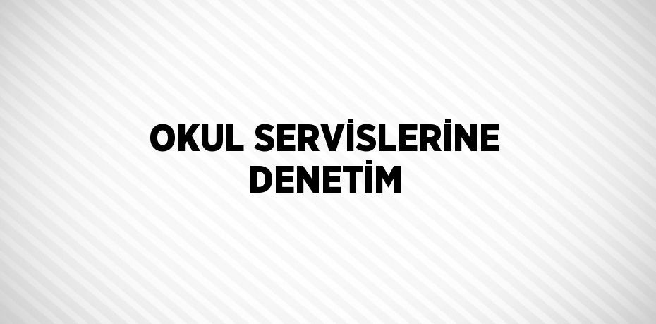 OKUL SERVİSLERİNE DENETİM