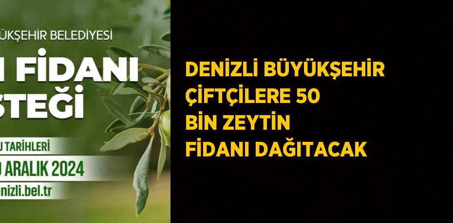 DENİZLİ BÜYÜKŞEHİR ÇİFTÇİLERE 50 BİN ZEYTİN FİDANI DAĞITACAK