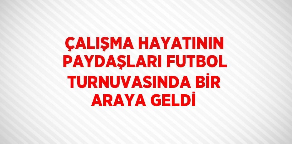 ÇALIŞMA HAYATININ PAYDAŞLARI FUTBOL TURNUVASINDA BİR ARAYA GELDİ