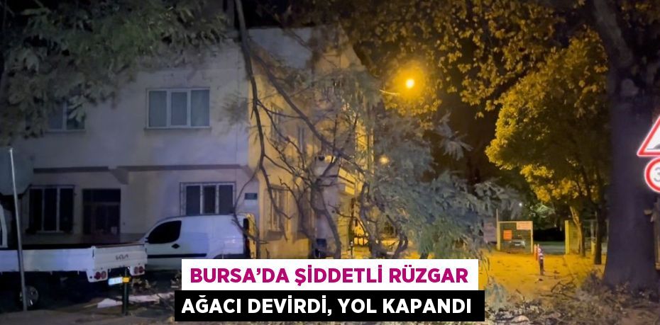 BURSA’DA ŞİDDETLİ RÜZGAR AĞACI DEVİRDİ, YOL KAPANDI