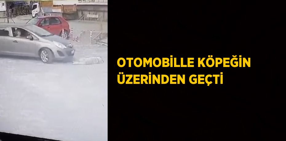 OTOMOBİLLE KÖPEĞİN ÜZERİNDEN GEÇTİ