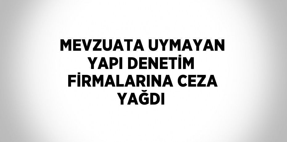 MEVZUATA UYMAYAN YAPI DENETİM FİRMALARINA CEZA YAĞDI