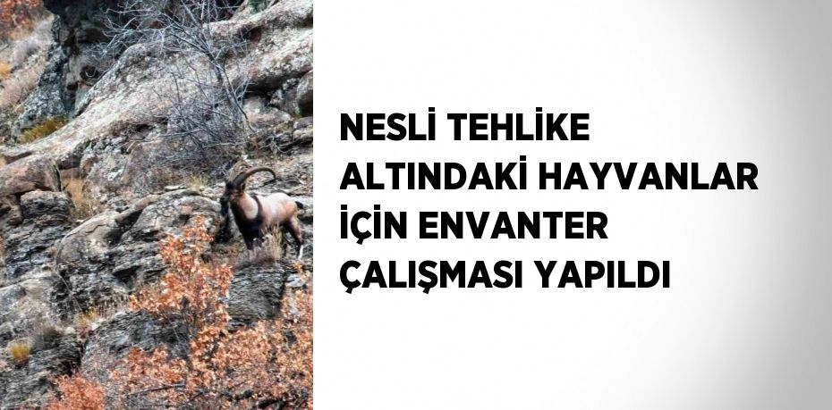 NESLİ TEHLİKE ALTINDAKİ HAYVANLAR İÇİN ENVANTER ÇALIŞMASI YAPILDI