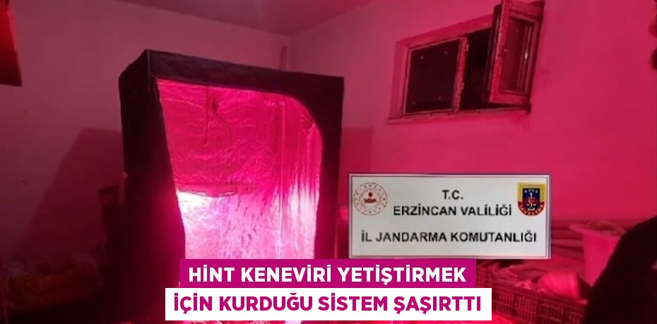 HİNT KENEVİRİ YETİŞTİRMEK İÇİN KURDUĞU SİSTEM ŞAŞIRTTI