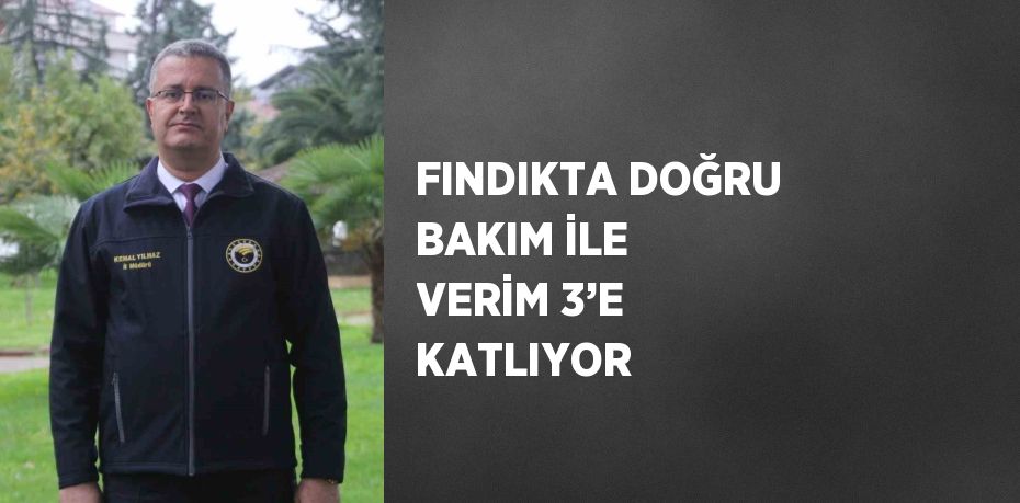 FINDIKTA DOĞRU BAKIM İLE VERİM 3’E KATLIYOR