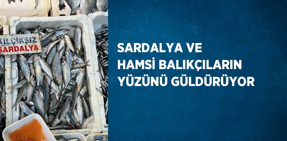 SARDALYA VE HAMSİ BALIKÇILARIN YÜZÜNÜ GÜLDÜRÜYOR