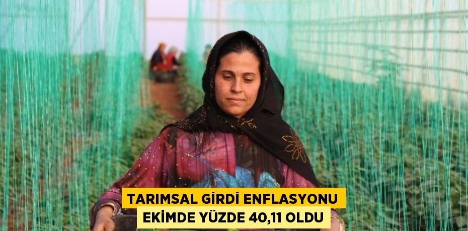 TARIMSAL GİRDİ ENFLASYONU EKİMDE YÜZDE 40,11 OLDU