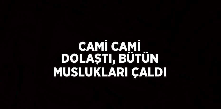 CAMİ CAMİ DOLAŞTI, BÜTÜN MUSLUKLARI ÇALDI