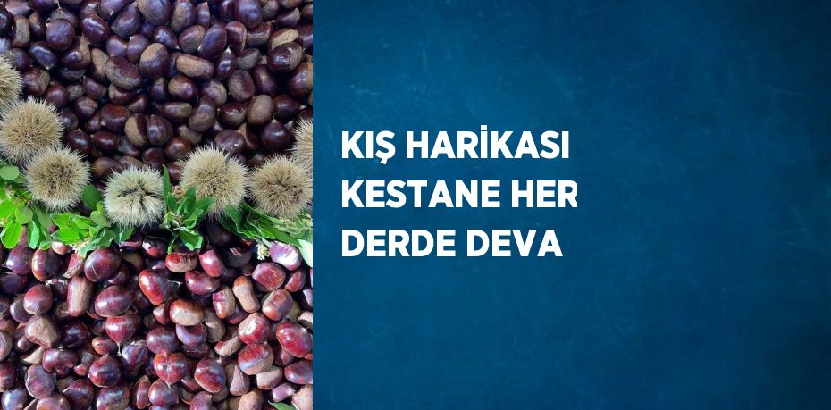 KIŞ HARİKASI KESTANE HER DERDE DEVA