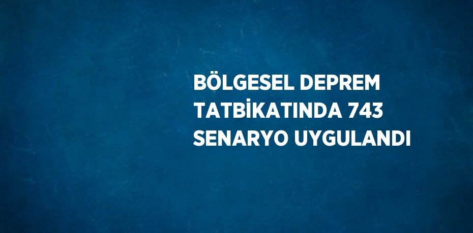 BÖLGESEL DEPREM TATBİKATINDA 743 SENARYO UYGULANDI