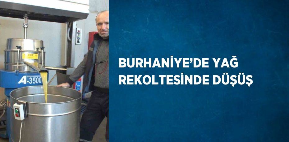 BURHANİYE’DE YAĞ REKOLTESİNDE DÜŞÜŞ