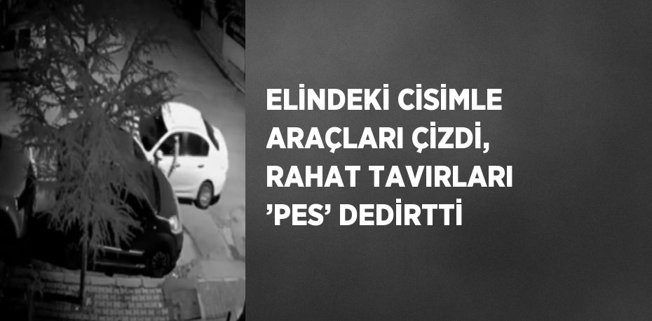 ELİNDEKİ CİSİMLE ARAÇLARI ÇİZDİ, RAHAT TAVIRLARI ’PES’ DEDİRTTİ