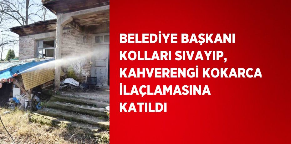 BELEDİYE BAŞKANI KOLLARI SIVAYIP, KAHVERENGİ KOKARCA İLAÇLAMASINA KATILDI