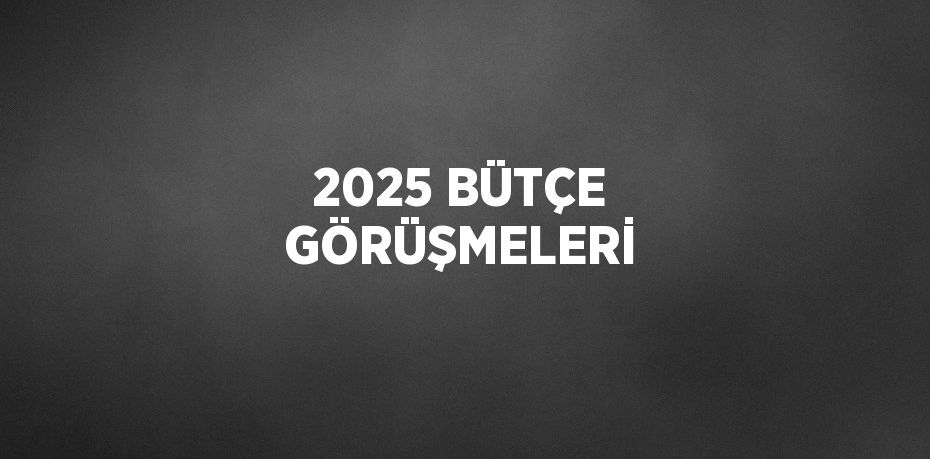 2025 BÜTÇE GÖRÜŞMELERİ