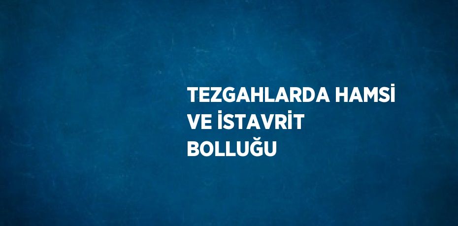 TEZGAHLARDA HAMSİ VE İSTAVRİT BOLLUĞU