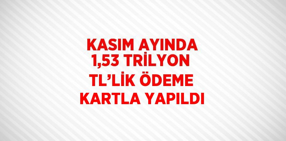 KASIM AYINDA 1,53 TRİLYON TL’LİK ÖDEME KARTLA YAPILDI