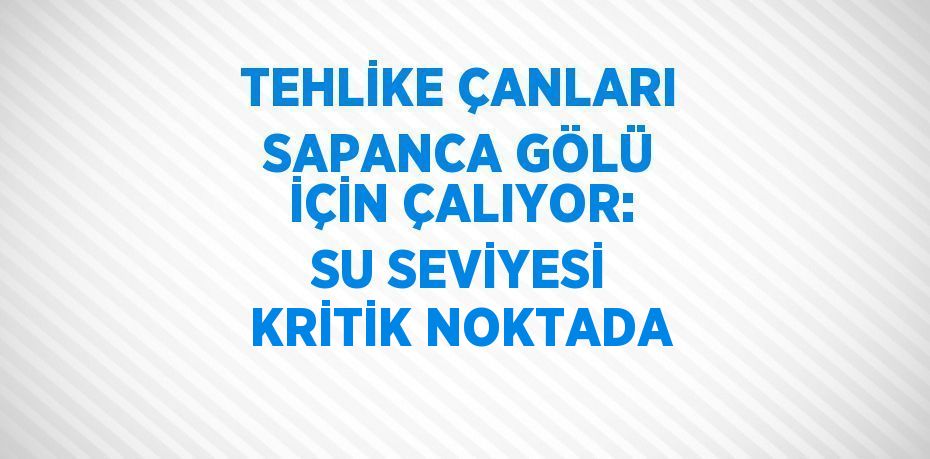 TEHLİKE ÇANLARI SAPANCA GÖLÜ İÇİN ÇALIYOR: SU SEVİYESİ KRİTİK NOKTADA