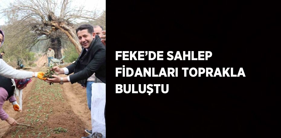 FEKE’DE SAHLEP FİDANLARI TOPRAKLA BULUŞTU