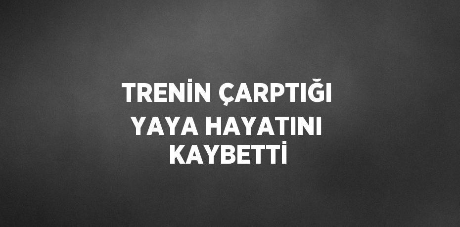 TRENİN ÇARPTIĞI YAYA HAYATINI KAYBETTİ