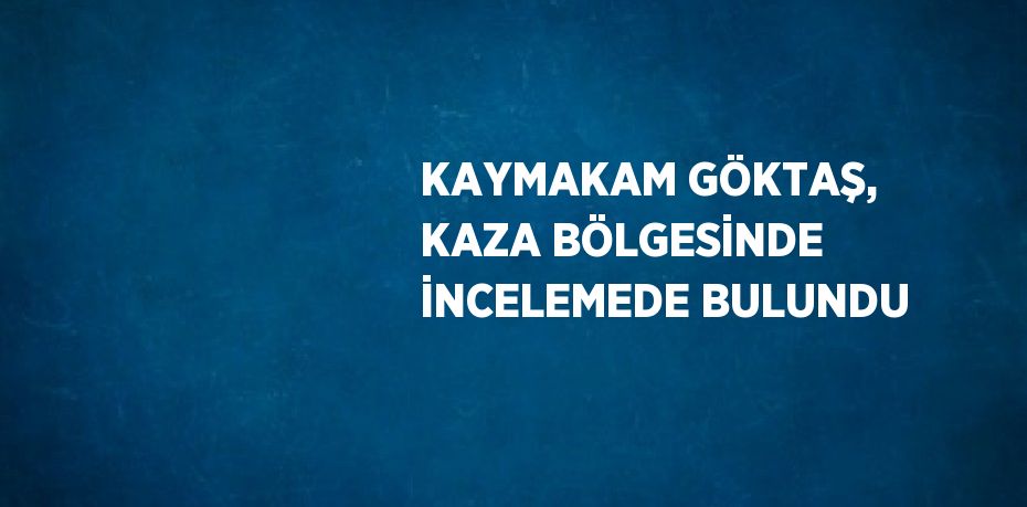 KAYMAKAM GÖKTAŞ, KAZA BÖLGESİNDE İNCELEMEDE BULUNDU