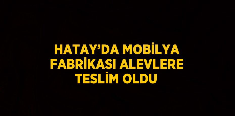 HATAY’DA MOBİLYA FABRİKASI ALEVLERE TESLİM OLDU