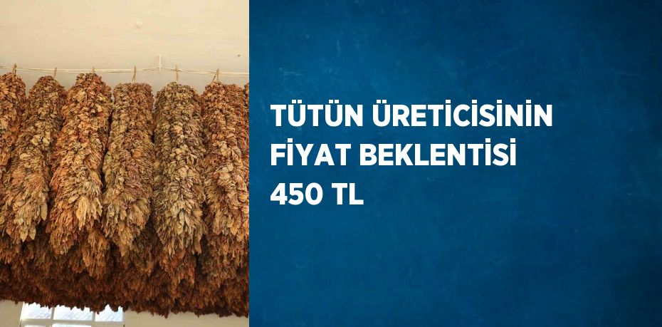 TÜTÜN ÜRETİCİSİNİN FİYAT BEKLENTİSİ 450 TL