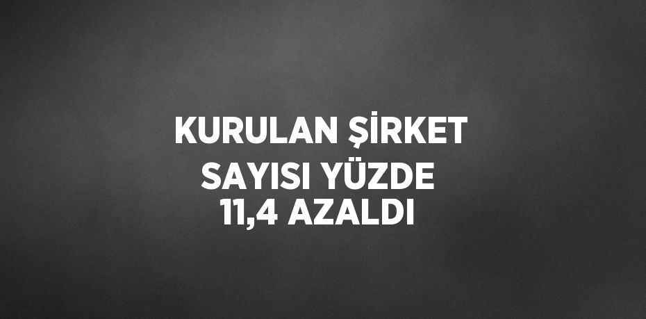 KURULAN ŞİRKET SAYISI YÜZDE 11,4 AZALDI