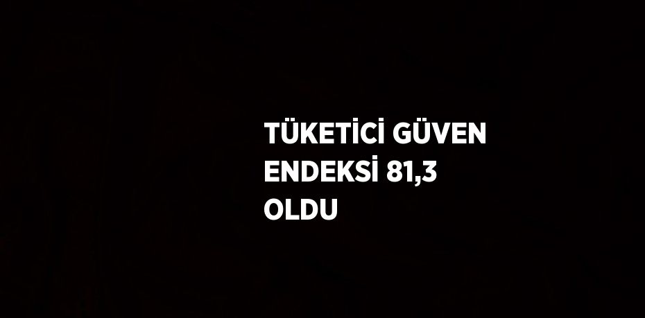 TÜKETİCİ GÜVEN ENDEKSİ 81,3 OLDU