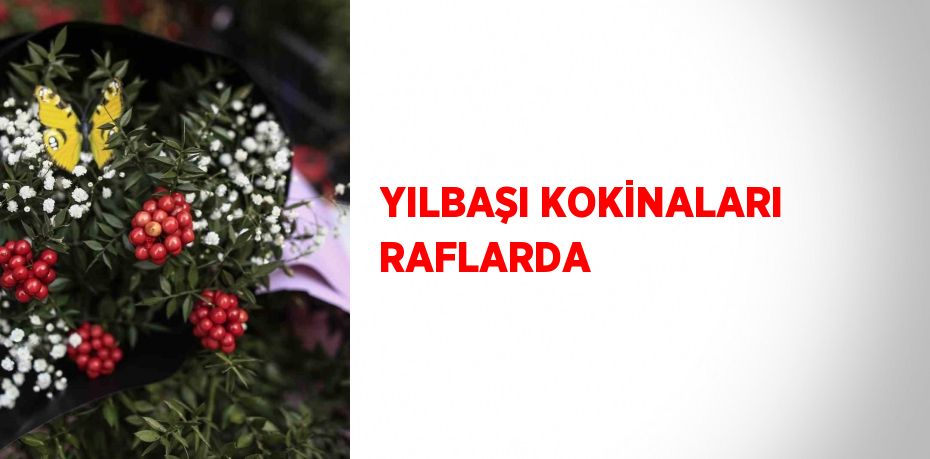 YILBAŞI KOKİNALARI RAFLARDA