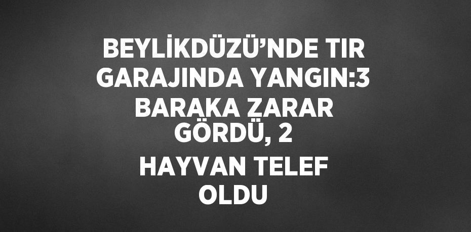 BEYLİKDÜZÜ’NDE TIR GARAJINDA YANGIN:3 BARAKA ZARAR GÖRDÜ, 2 HAYVAN TELEF OLDU