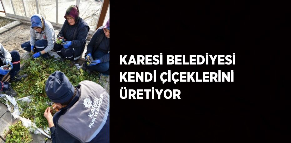 KARESİ BELEDİYESİ KENDİ ÇİÇEKLERİNİ ÜRETİYOR