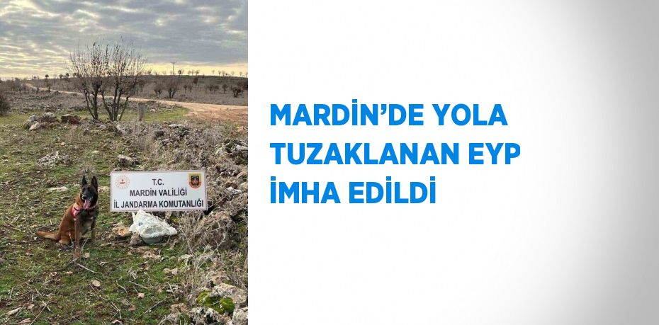 MARDİN’DE YOLA TUZAKLANAN EYP İMHA EDİLDİ