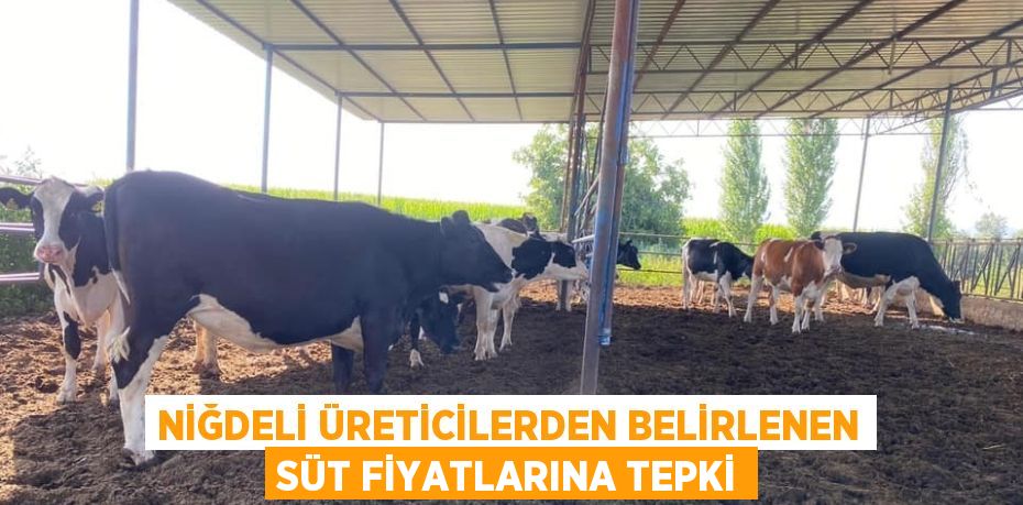 NİĞDELİ ÜRETİCİLERDEN BELİRLENEN SÜT FİYATLARINA TEPKİ