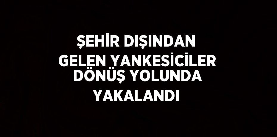 ŞEHİR DIŞINDAN GELEN YANKESİCİLER DÖNÜŞ YOLUNDA YAKALANDI