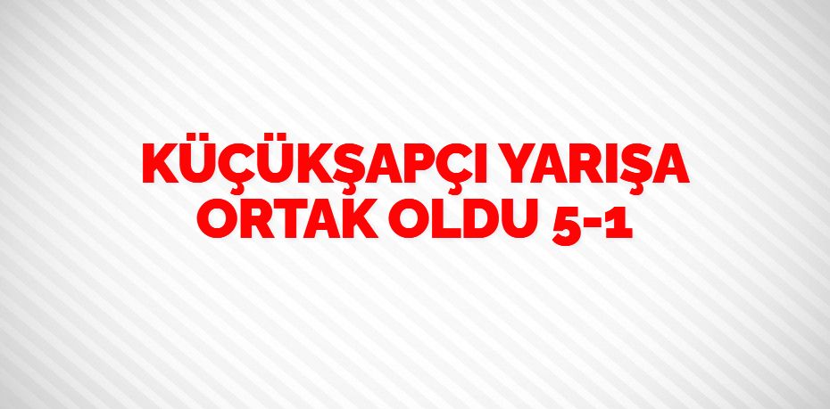 KÜÇÜKŞAPÇI YARIŞA ORTAK OLDU   5-1