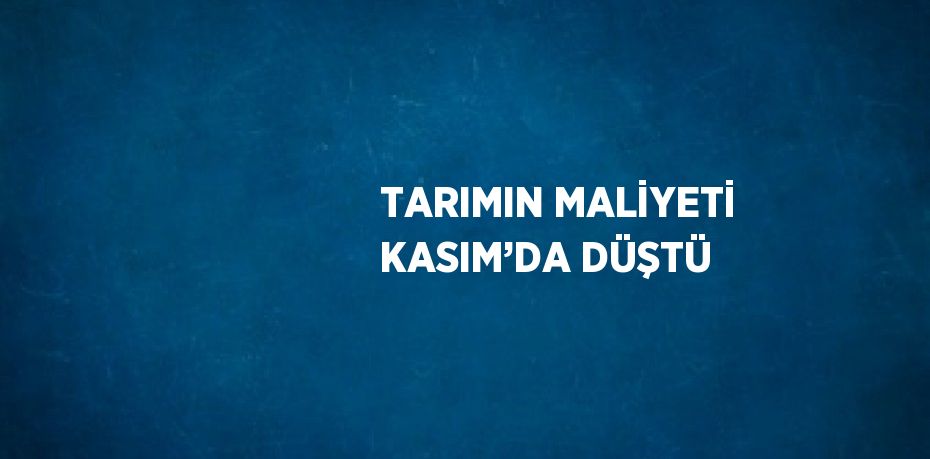 TARIMIN MALİYETİ KASIM’DA DÜŞTÜ