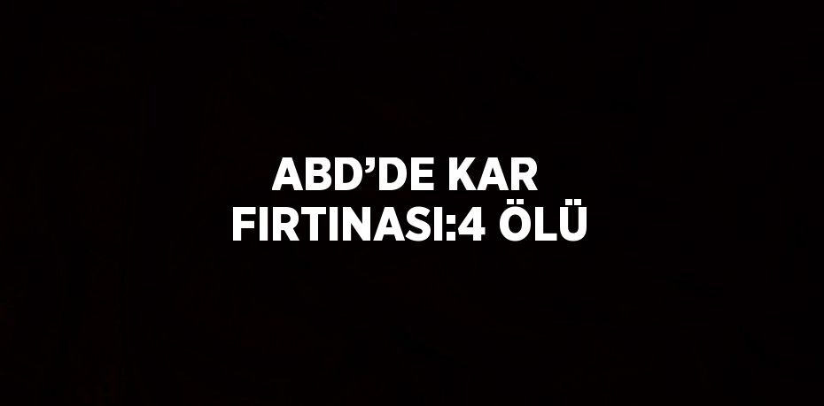 ABD’DE KAR FIRTINASI:4 ÖLÜ