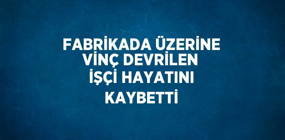 FABRİKADA ÜZERİNE VİNÇ DEVRİLEN İŞÇİ HAYATINI KAYBETTİ