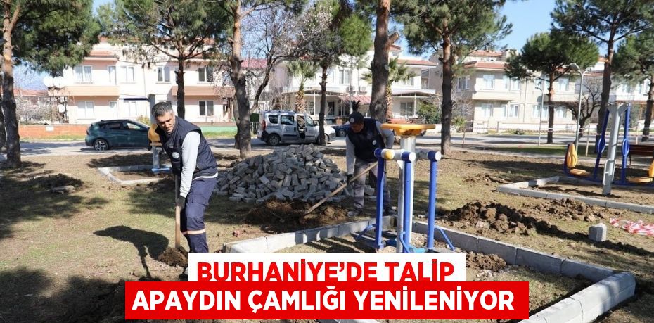 BURHANİYE’DE TALİP APAYDIN ÇAMLIĞI YENİLENİYOR