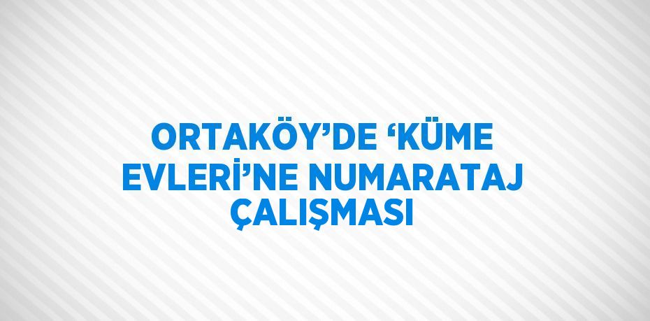 ORTAKÖY’DE ‘KÜME EVLERİ’NE NUMARATAJ ÇALIŞMASI