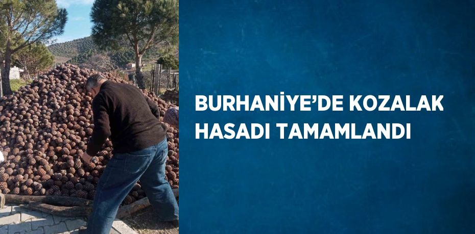 BURHANİYE’DE KOZALAK HASADI TAMAMLANDI