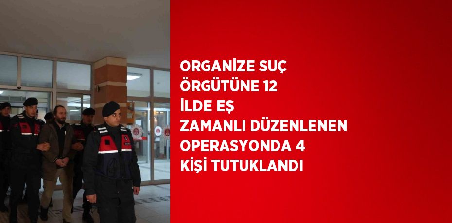 ORGANİZE SUÇ ÖRGÜTÜNE 12 İLDE EŞ ZAMANLI DÜZENLENEN OPERASYONDA 4 KİŞİ TUTUKLANDI