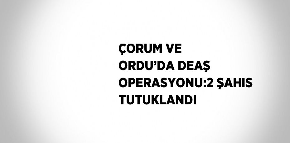 ÇORUM VE ORDU’DA DEAŞ OPERASYONU:2 ŞAHIS TUTUKLANDI
