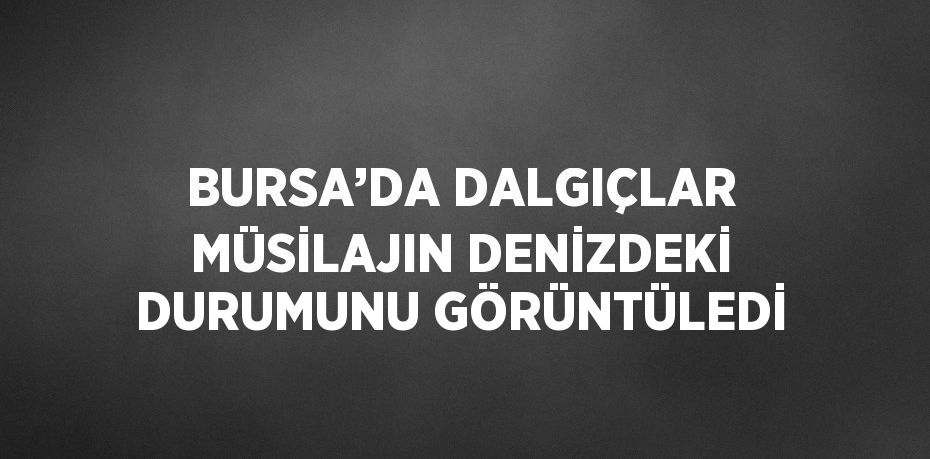 BURSA’DA DALGIÇLAR MÜSİLAJIN DENİZDEKİ DURUMUNU GÖRÜNTÜLEDİ