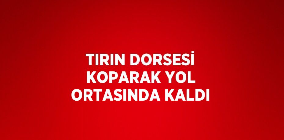 TIRIN DORSESİ KOPARAK YOL ORTASINDA KALDI