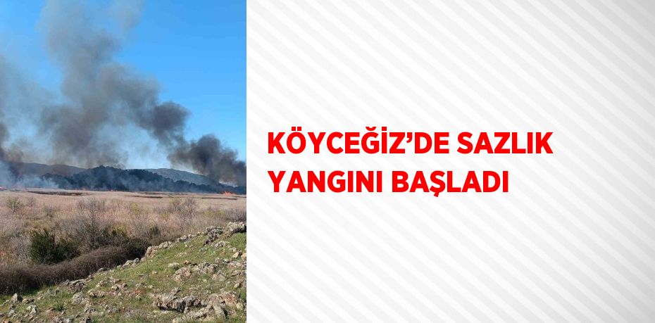 KÖYCEĞİZ’DE SAZLIK YANGINI BAŞLADI